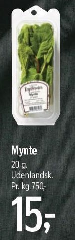 Føtex Mynte tilbud