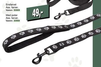 Harald Nyborg Hundesnor tilbud