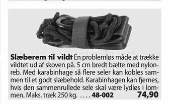 Slæberem til vildt