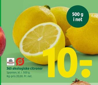 365 økologiske citroner