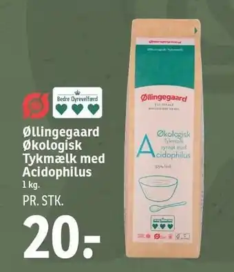 SPAR Øllingegaard øko tykmælk med acidophilus tilbud