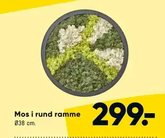 Bilka Mos i rund ramme tilbud