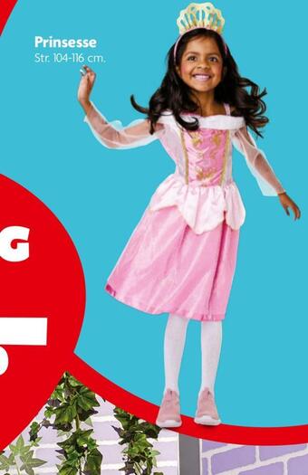 Prinsesse