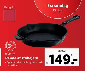 Lidl Pande af støbejern tilbud