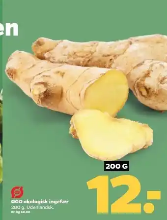 Netto Øko ingefær tilbud