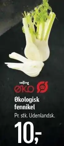 Føtex Øko fennikel tilbud