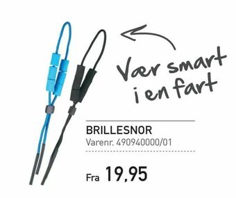 Brillesnor