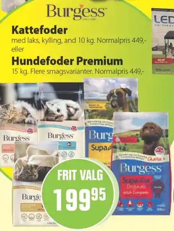 Kattefoder 10g, Hundefoder Premium 15kg