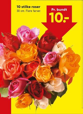 Bilka 10 stilke roser tilbud