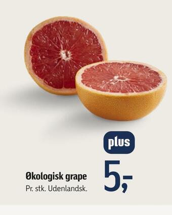 Økologisk grape