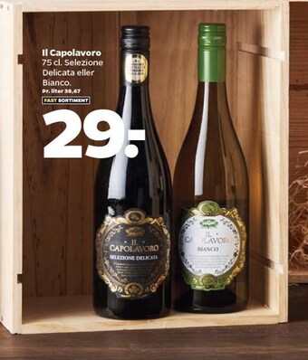 Netto Ii capolavoro tilbud