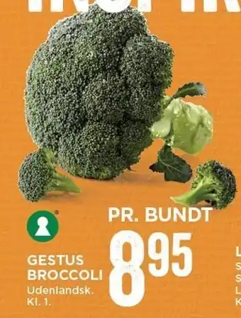 Broccoli