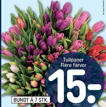 REMA 1000 Tulipaner tilbud