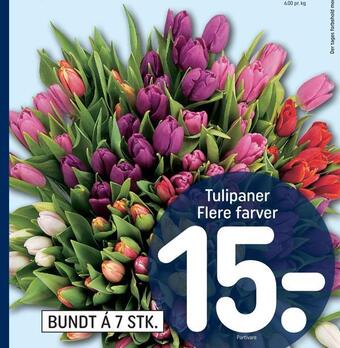 REMA 1000 Tulipaner tilbud