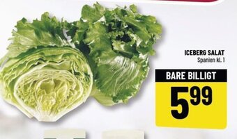 Løvbjerg Iceberg Salat tilbud