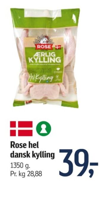 Ærlig kylling kylling