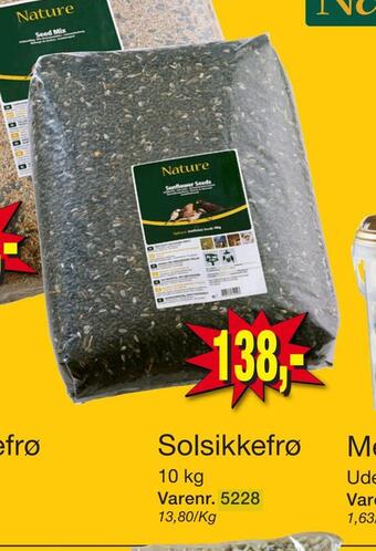 Harald Nyborg Solsikkefrø tilbud