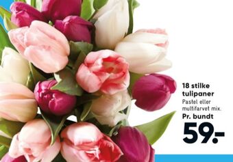 Bilka Ukendt buket tilbud