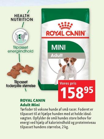 Maxi Zoo Royal canin adult mini tilbud