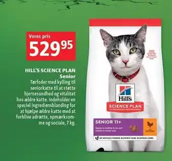 Maxi Zoo Hill's science plan senior tilbud