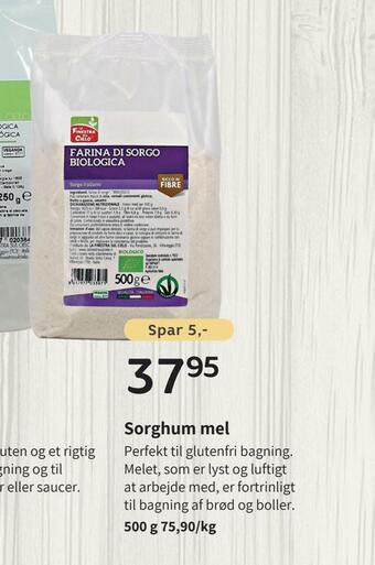 Sorghum mel