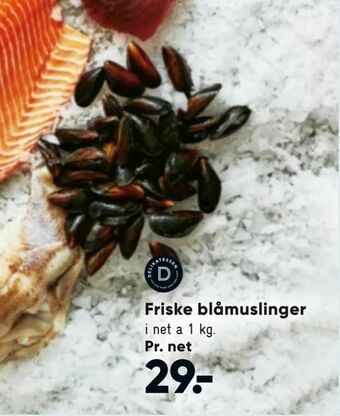 Friske blåmuslinger