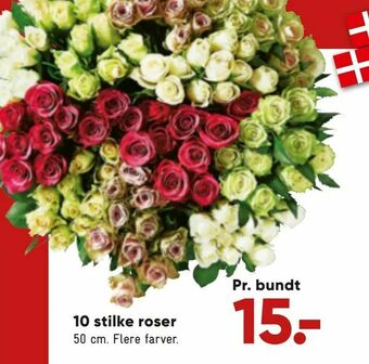 Bilka 10 stilke roser tilbud