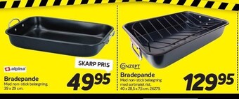 Bradepande