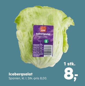Kvickly Icebergsalat tilbud