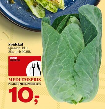 Spidskål
