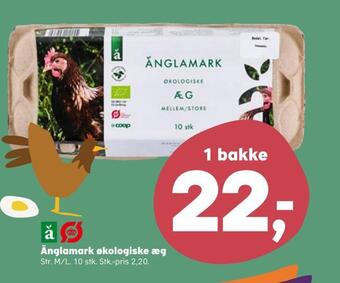 SuperBrugsen Änglamark økologiske æg tilbud