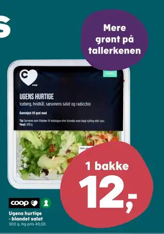 SuperBrugsen Ugens hurtige - blandet salat tilbud