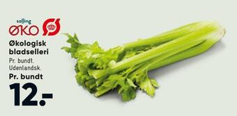 Bilka Økologisk bladselleri tilbud