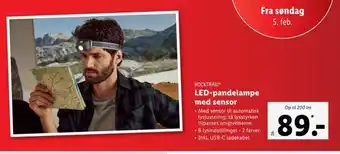 Lidl Led-pandelampe med sensor tilbud