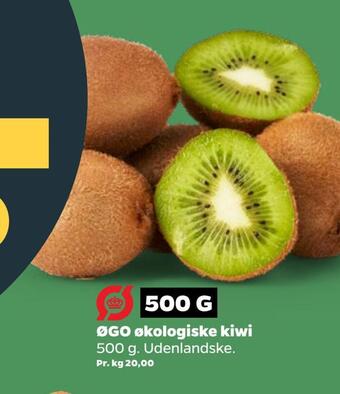 Netto Øgo økologiske kiwi tilbud