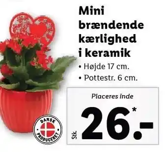 Lidl Mini brændende kærlighed i keramik tilbud