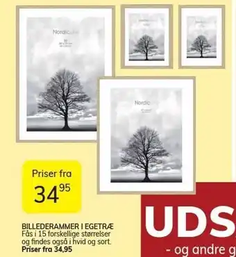 Billedrammer i egetræ