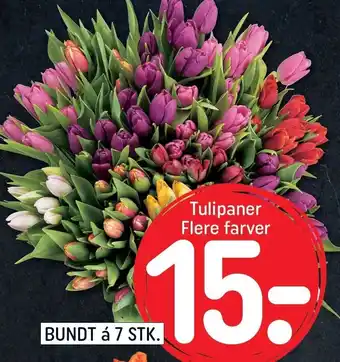 REMA 1000 Tulipaner - flere farver - 7 stk tilbud