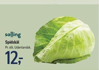 Føtex Spidskål tilbud
