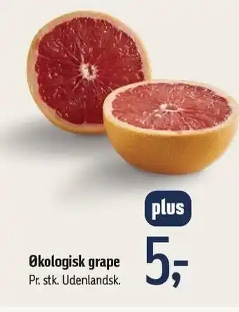 Føtex Økologisk grape tilbud
