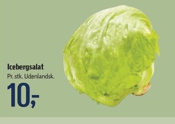 Føtex Icebergsalat tilbud