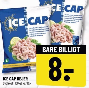 Løvbjerg Ice cap rejer tilbud