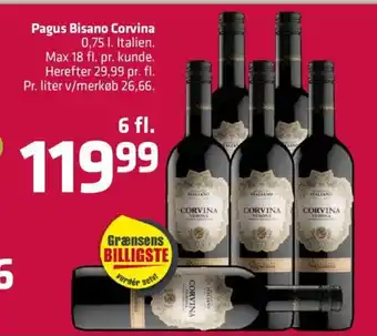 Pagus Bisano Corvina