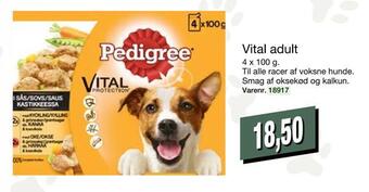 Vital adult