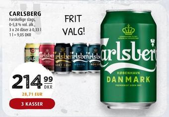 Scandinavian Park Carlsberg tilbud