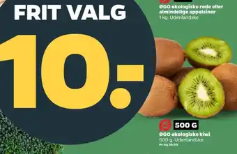 Netto Øgo kiwi tilbud