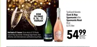 Scavi & ray spumante eller spumante rosé