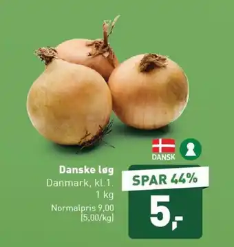 Danske løg