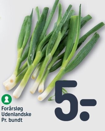 REMA 1000 Forårsløg Udenlandske Pr. Bundt tilbud