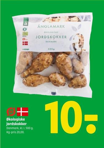 Økologiske jordskokker